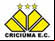Criciúma Esporte Clube