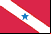 Bandeira do Pará