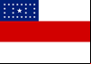 Bandeira do Amazonas, Jornal do Amazonas