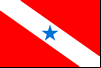 Bandeira do Pará, Jornal do Pará