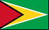 Bandeira Guiana, Jornais Guianês