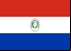 Bandeira Paraguai, Jornais Paraguaios