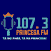 Rádio Princesa FM Capanema PA