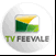 TV Feevale NH